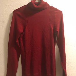 The Limited Maroon Turtleneck